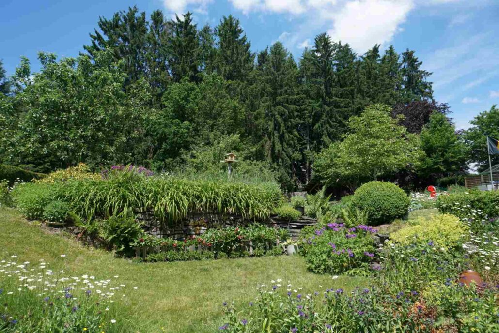 vue sur une partie du jardin en été